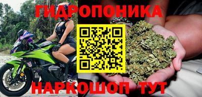 a pvp Старая Купавна